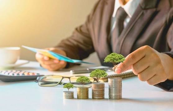 Investment growth concept with coins and a small plant